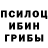 Псилоцибиновые грибы Psilocybine cubensis Miron Klirs