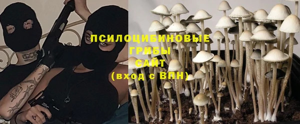 МДПВ Козельск