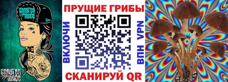 Галлюциногенные грибы Magic Shrooms  Купить  Староминская 